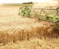 Supercharge Your Productivity with AI-Powered Grain Processing Machine
