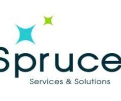 Spruce Services and Solutions