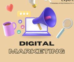PPC Management Services India | full service by InfyQ Seo Experts