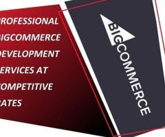 Professional BigCommerce Development Services at Competitive Rates