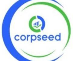 Ad Content: DPCC Approvals Made Simple – Professional Services by Corpseed