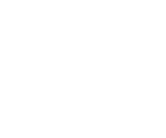 Dominion Energy Solutions