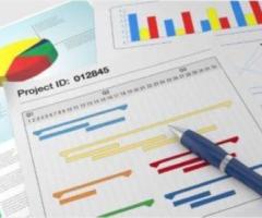 Virtual Project Managers