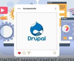 Custom Drupal CMS And Web Development For All Business Sizes
