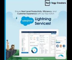 Salesforce Lightning Consultant