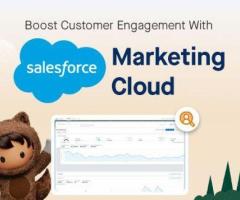 Hire Salesforce Marketing Cloud Consultant