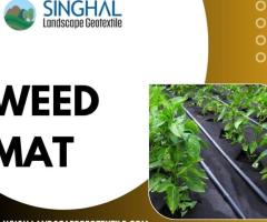 Best Weed Mat for Garden Beds – Keep Weeds Out and Plants Thriving