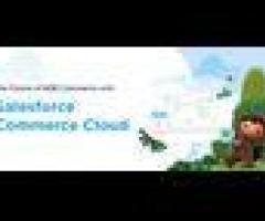hire salesforce commerce cloud consultant