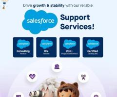 Salesforce support and maintenance services