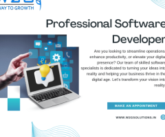 Comprehensive Software Development for NBFC Solutions