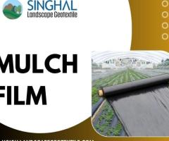 Agricultural Mulching Films: Essential Tools for Modern Farming