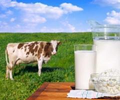 Creamy Goodness Awaits – Houston’s Local Raw Milk Supply