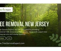 Professional Tree Removal Services in New Jersey for Safe and Efficient Tree Care