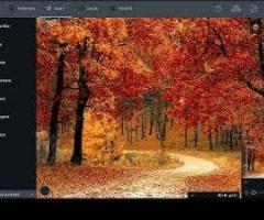 background removal for google shopping images
