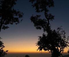 Best glamping resort in Mussoorie | Treetop Glamps
