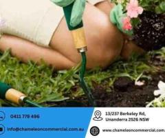 Affordable Landscaping and Garden Maintenance in Wollongong