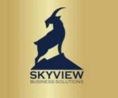 Business Consultation Services in Indiana - Skyview Business Solutions