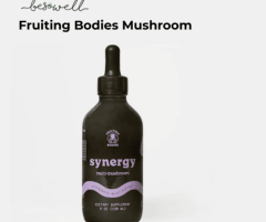 Enhance Cognitive Function with Fruiting Bodies Mushroom