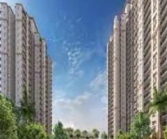 Luxury Apartments For Sale In Noida Extension
