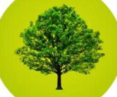 Plant a Tree In Memory