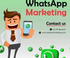 How to Use WhatsApp Business API for Campaigns in Delhi NCR