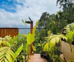 Mountain View Staycation Munnar | Luxury Glamping in Munnar