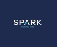 Spark Recovery
