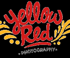 best wedding photography in hyderabad