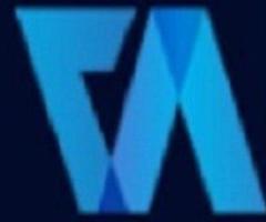 Company Valuation - Virtual Auditor Pvt Ltd 