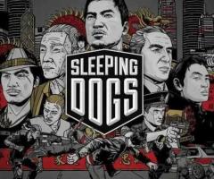 Sleeping Dogs Laptop and Desktop Computer Game