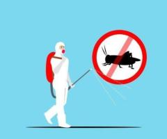 Pest Control in Hartbeespoort - JT Solution