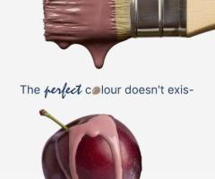 Transform Your Walls with Chameleon Paints – Trusted Paint Suppliers in UAE
