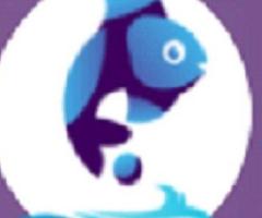 E-Commerce Development Services - Fish Eye Advertising