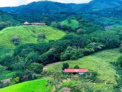 Buy a Farmland on The Tropical Island of Costa Rica