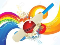 Cricket Brilliance Unleashed: Inside Reddy Anna And Reddy Anna Book