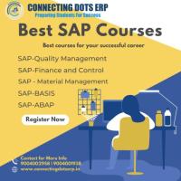 Launch Your SAP Career with the Top SAP Training Institute in Pune! Learn SAP FICO, MM, SD Courses
