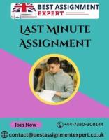 Overcoming Last Minute Assignments Stress-Free with Best Assignment Expert