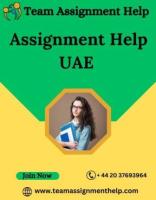 Excelling in UAE Academia: Team Assignment Help's Premier Assignment Help Service