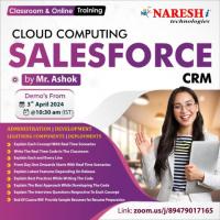 Best Salesforce CRM Online Training by Naresh IT