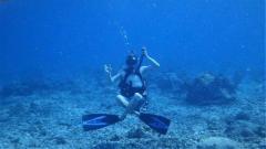 Best Scuba Diving Locations in Andaman Island