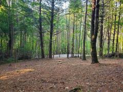 Mountain Land for Sale NC, 10 Acres of Land for Sale in North Carolina