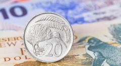 Fast & Easy NZD to EUR Transfers (Direct FX) - Save on Exchange Rates!
