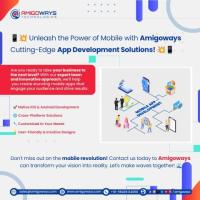Expert Mobile App Development Services - Amigoways