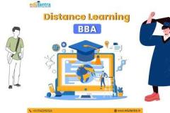 bba through distance education in india 2024
