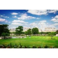 Calm Retreats in Parisian Parks & Gardens