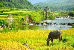 The most-viewed Vietnam travel company is Vivu Travel