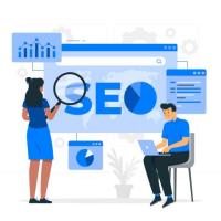 Maximize Online Presence with Florida SEO Consultant Expertise