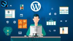 Hire Dedicated Wordpress Developer