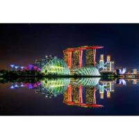 Thrills & Excitement with the best Singapore Adventure Tour Package of Nitsa Holidays.