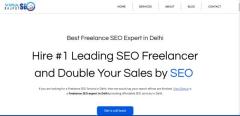 SEO Freelancer in Delhi